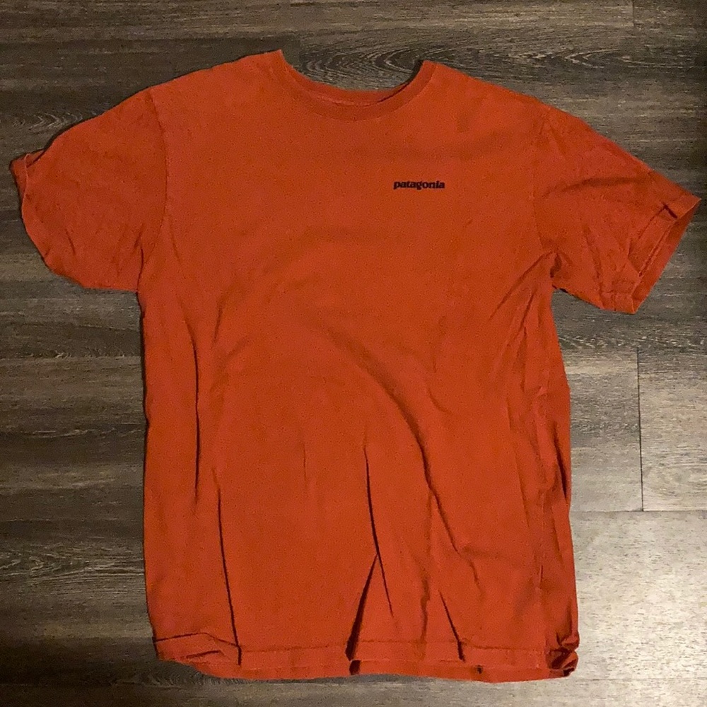 Patagonia Men's Large Tee